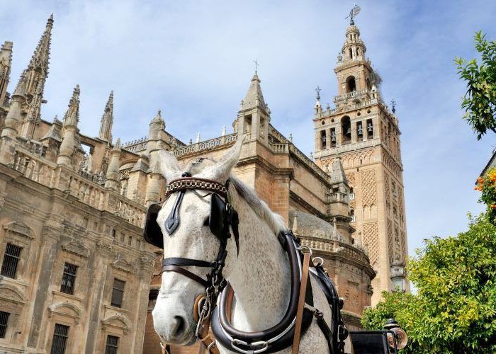 sevilla day trip 3