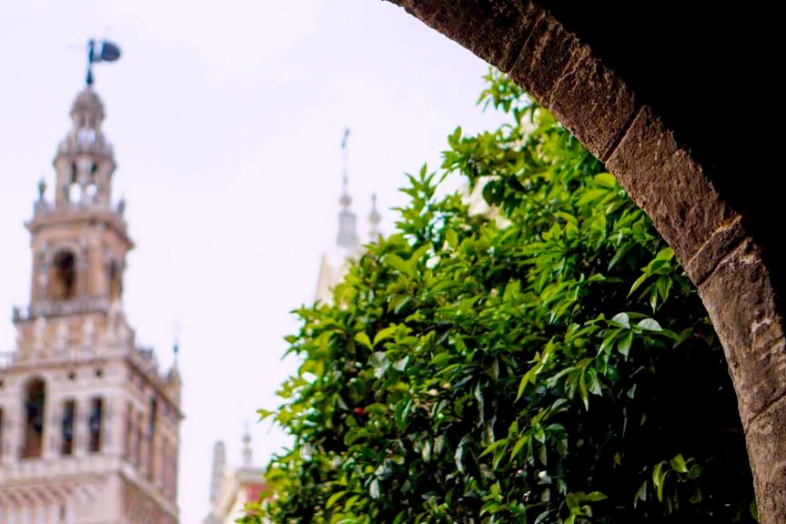 The Giralda seen through an arch